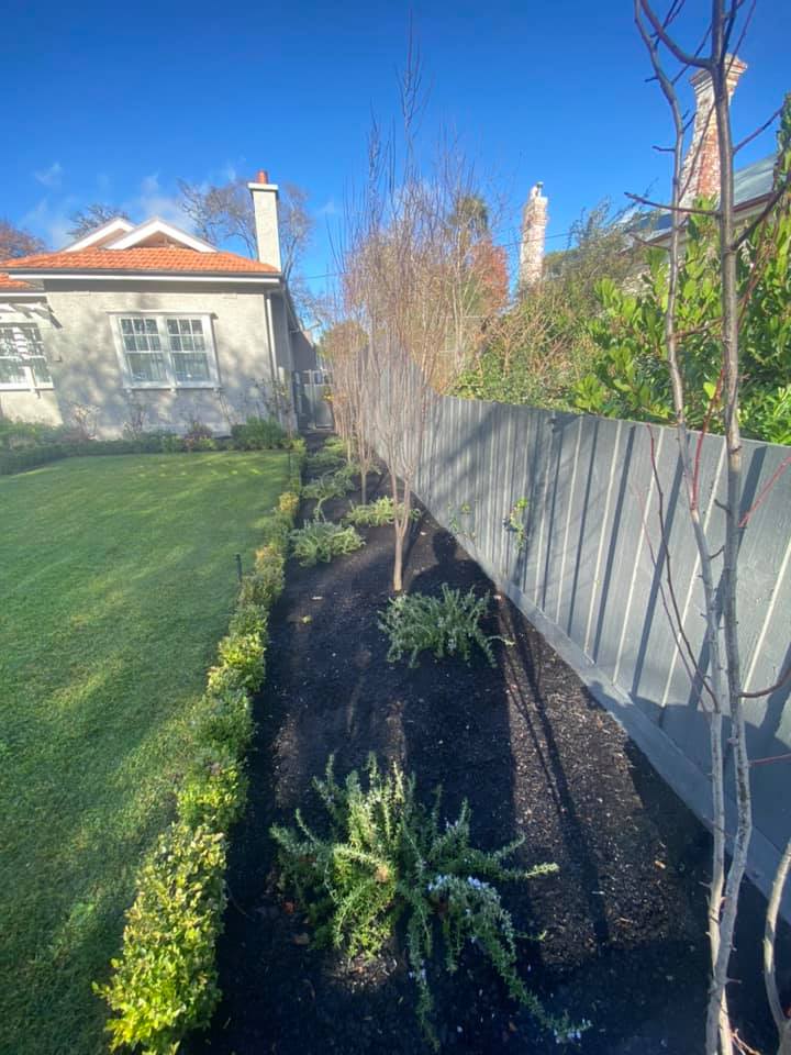 Hedge trimming Wendouree