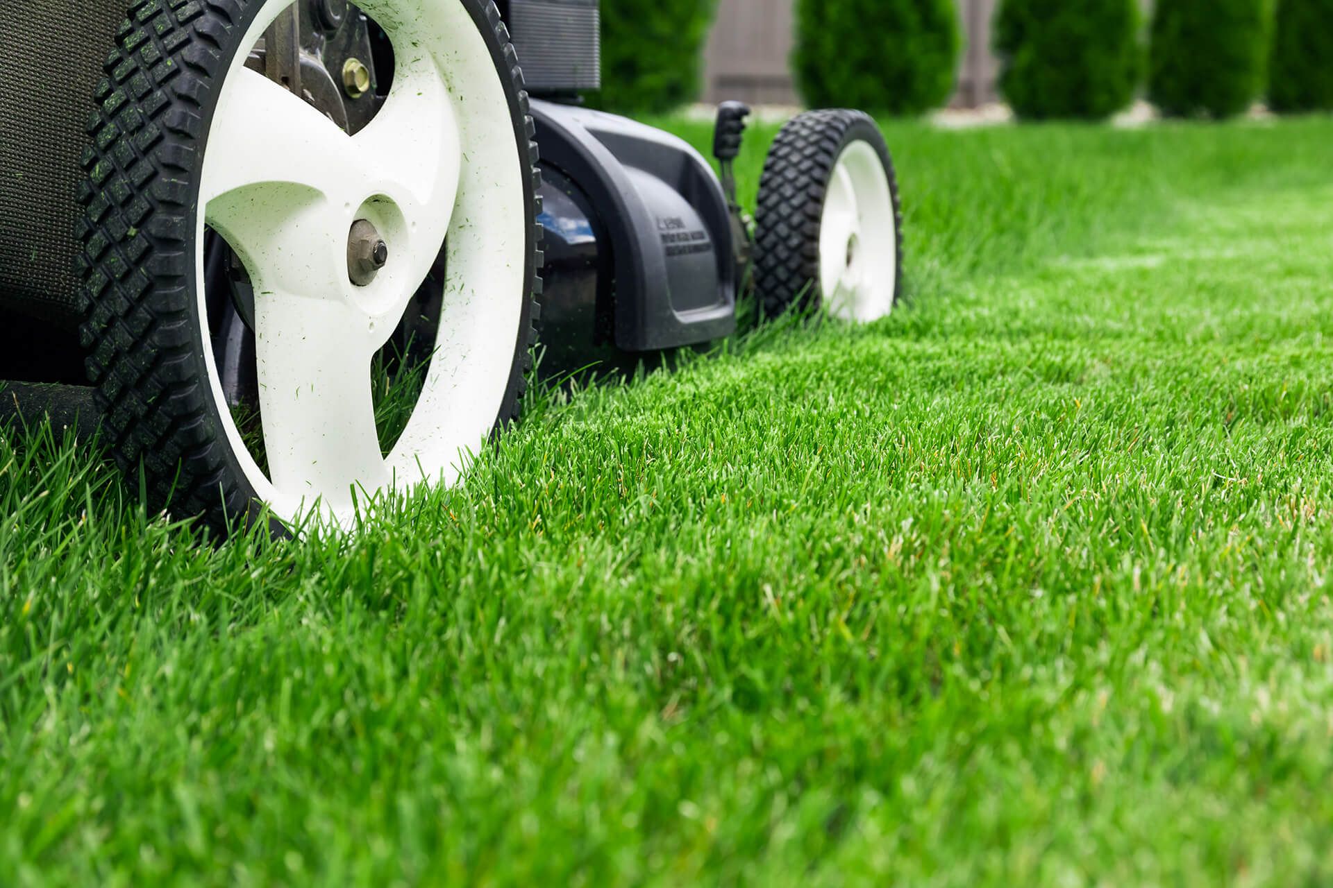 Garden Maintenance Services in Ballarat, Geelong, Daylesford, Melbourne