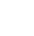 Spider - Pest Control Services in Billings, MT