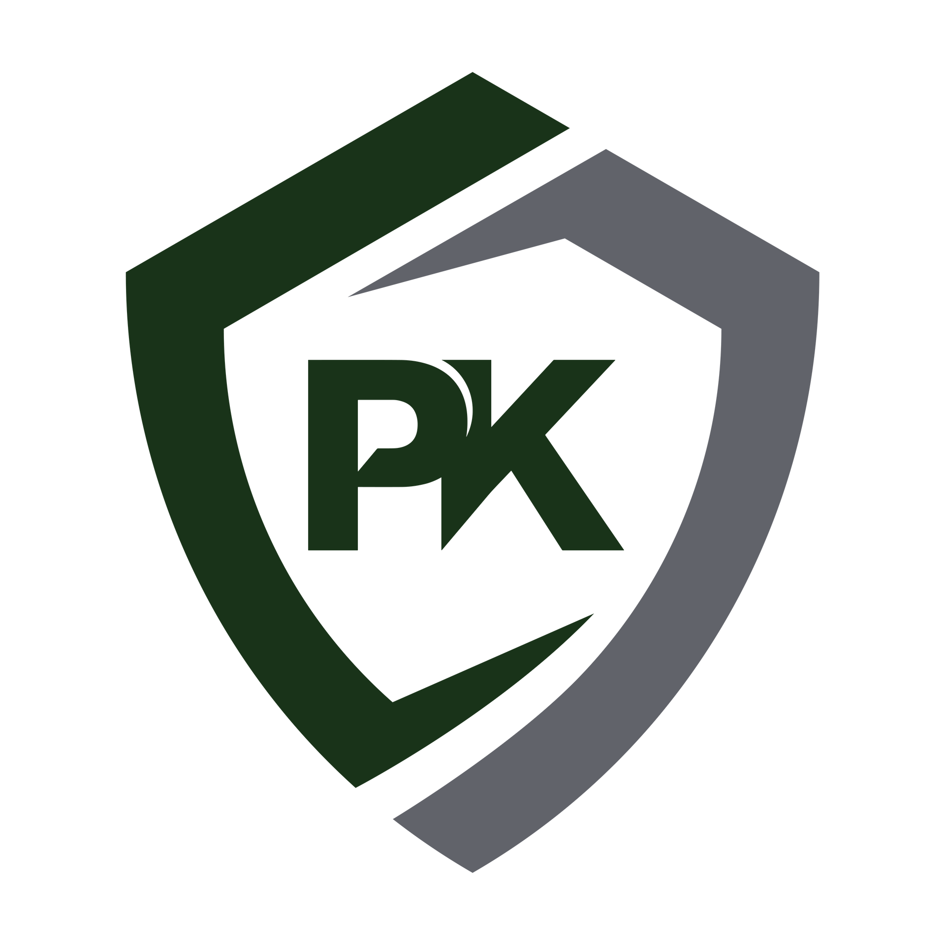 ProKnox Security Solutions Icon