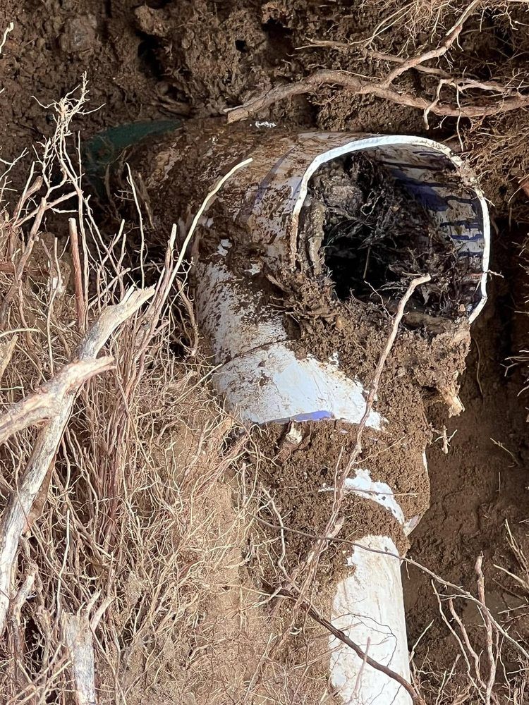A white pipe is sitting in the dirt next to a tree.