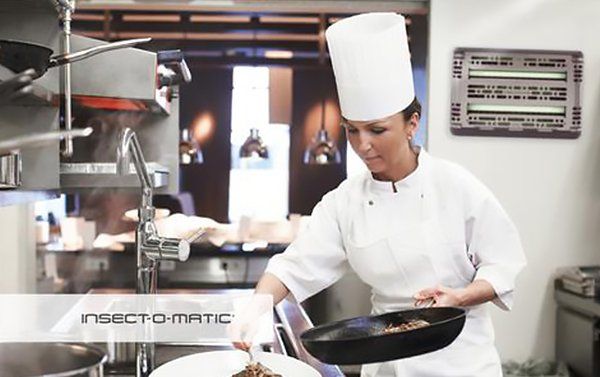 edge fly light in restaurant kitchen