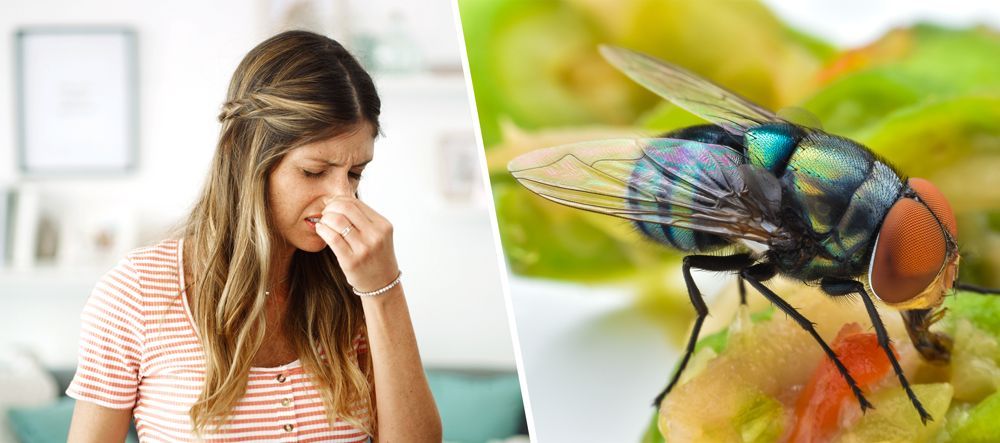 Woman pinching nose, looking disgusted, next to a fly on food.