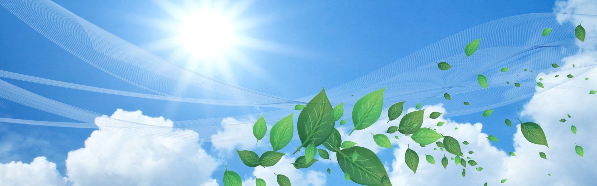 The sun is shining through the clouds and the leaves are blowing in the wind.