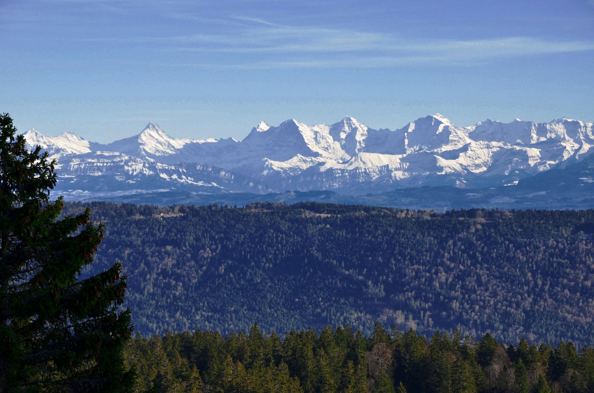 A view of a snowy mountain range with trees in the foreground