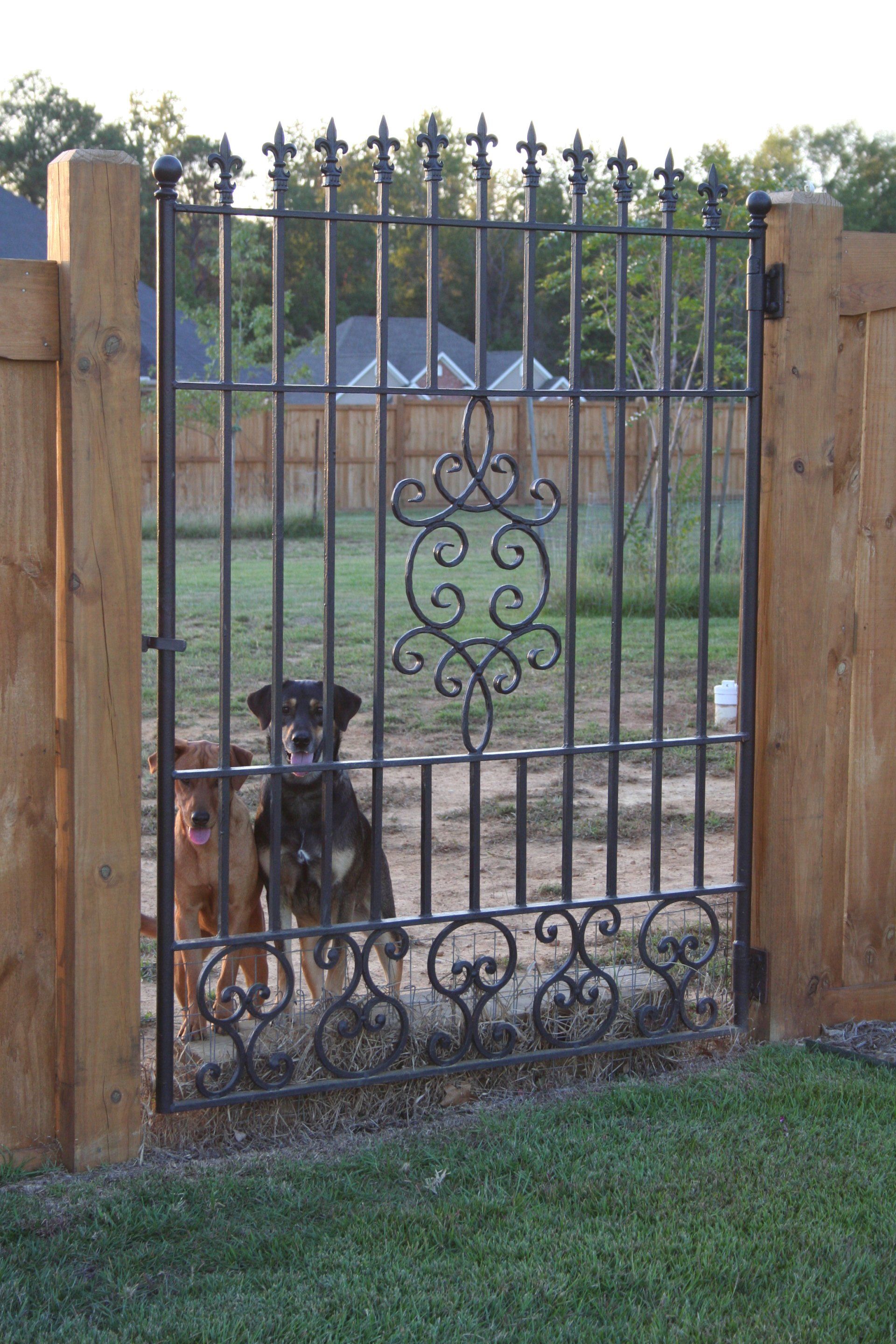 Two Dogs Behind Gate — Columbus, MS — Columbus Fence Company