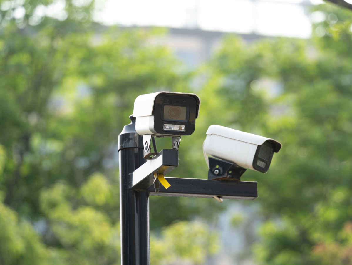 Two security cameras mounted on a black pole, with blurred green trees in the background.
