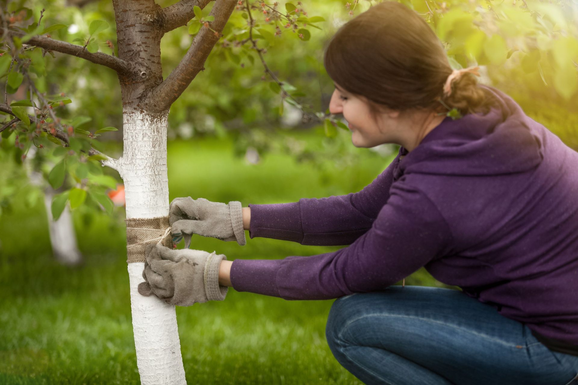 Tree Services near me in Cowley