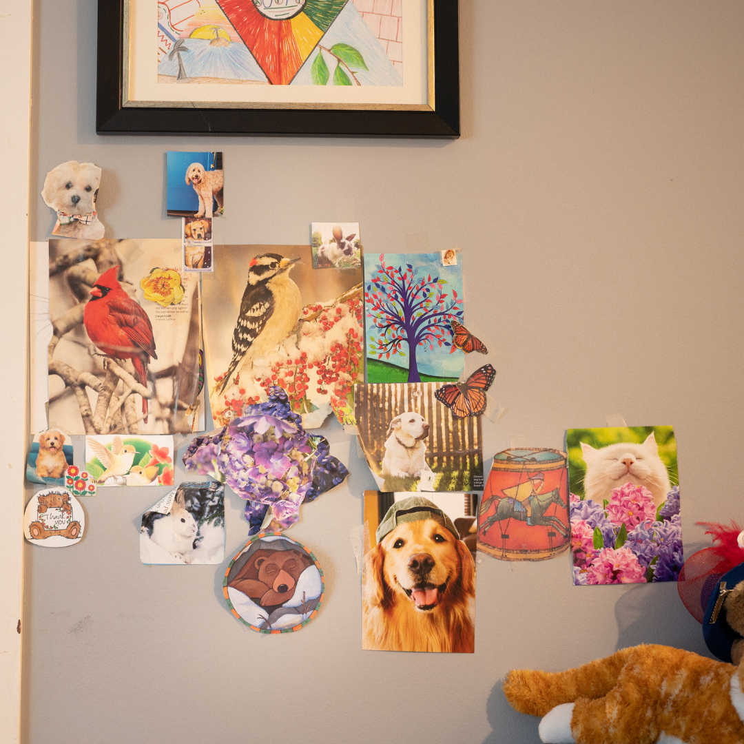 Wall with various cards and pictures, including a golden retriever, birds, and a drawing.