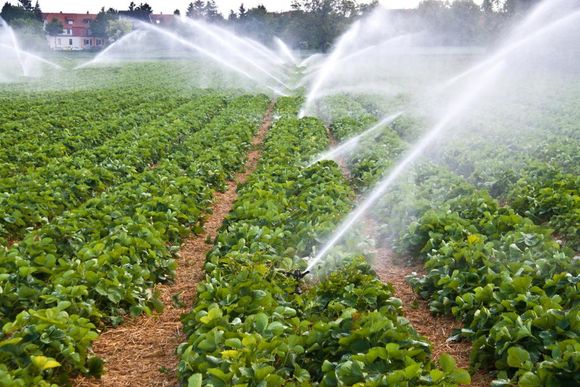 About Watermarks Irrigation Company in McKinney, TX