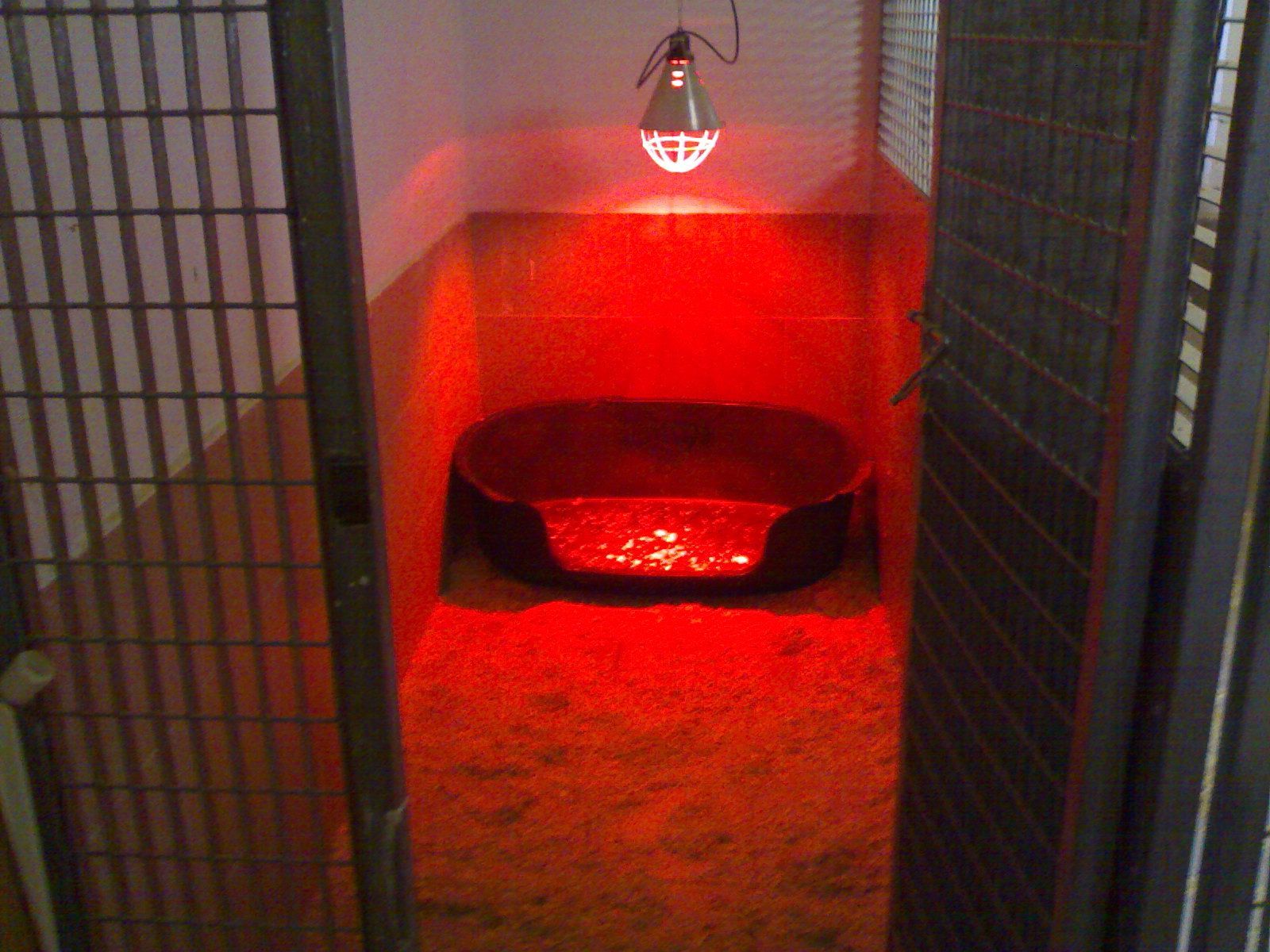 Una cuccia per cani in una stanza con una luce rossa appesa al soffitto