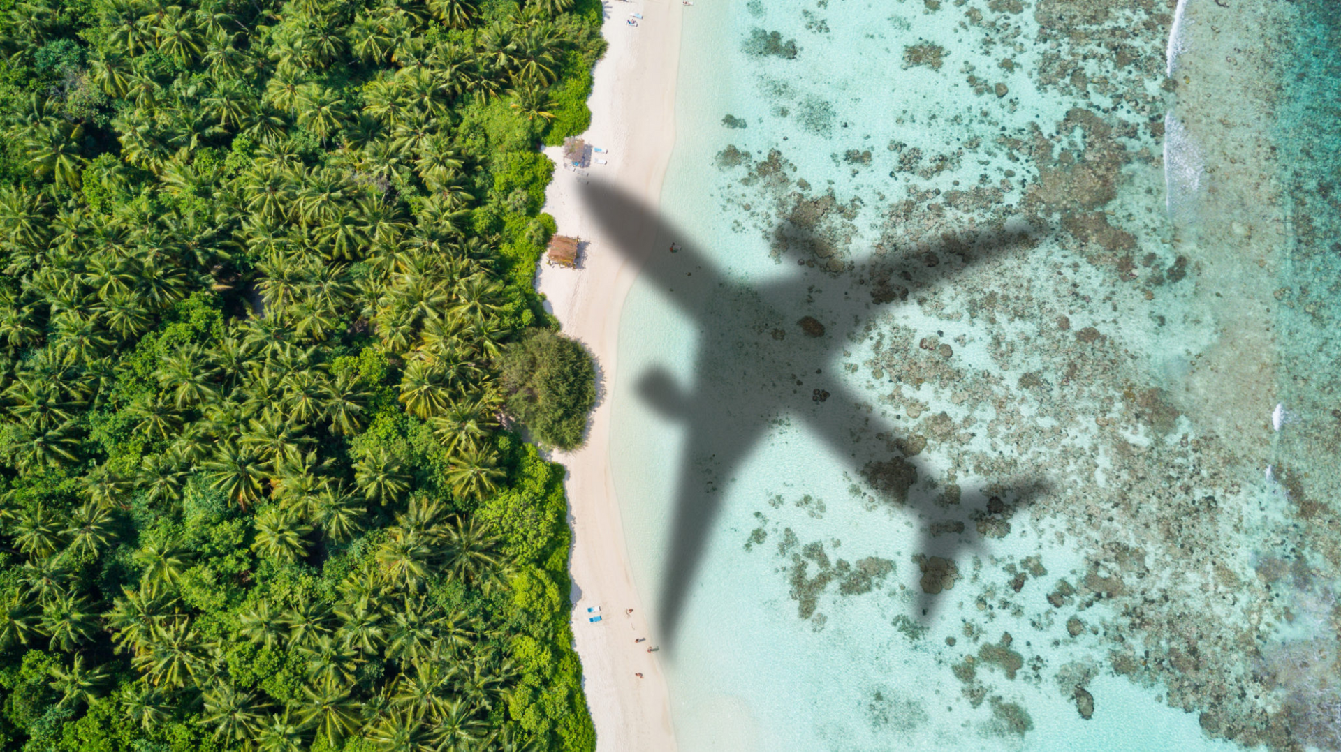 An aerial view of a beach with a plane shadow on it.
