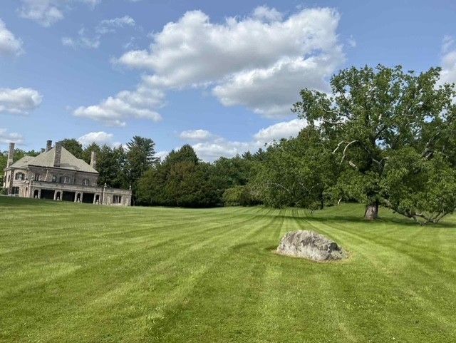 A lawn being mowed in a residential area, showing a clear contrast between striped, freshly cut grass and unmowed grass.