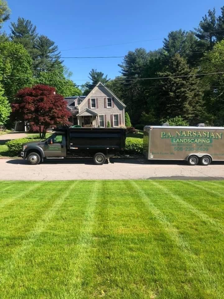 A lush green residential lawn featuring distinct, professional mowing stripes, with trees and a house in the background.