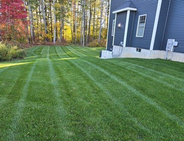 A neatly mown lawn with striped patterns, surrounded by mulched garden beds, trees, and a house in a suburban backyard.