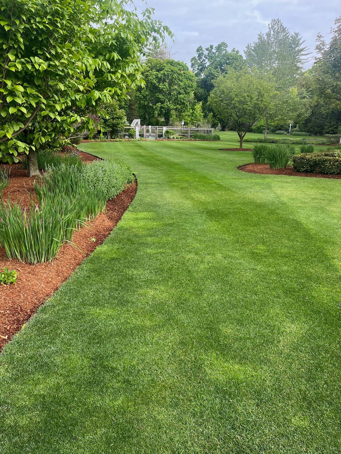 A lush, green lawn stretches toward trees and shrubs, bordered by a long garden bed of green plants and brown mulch.