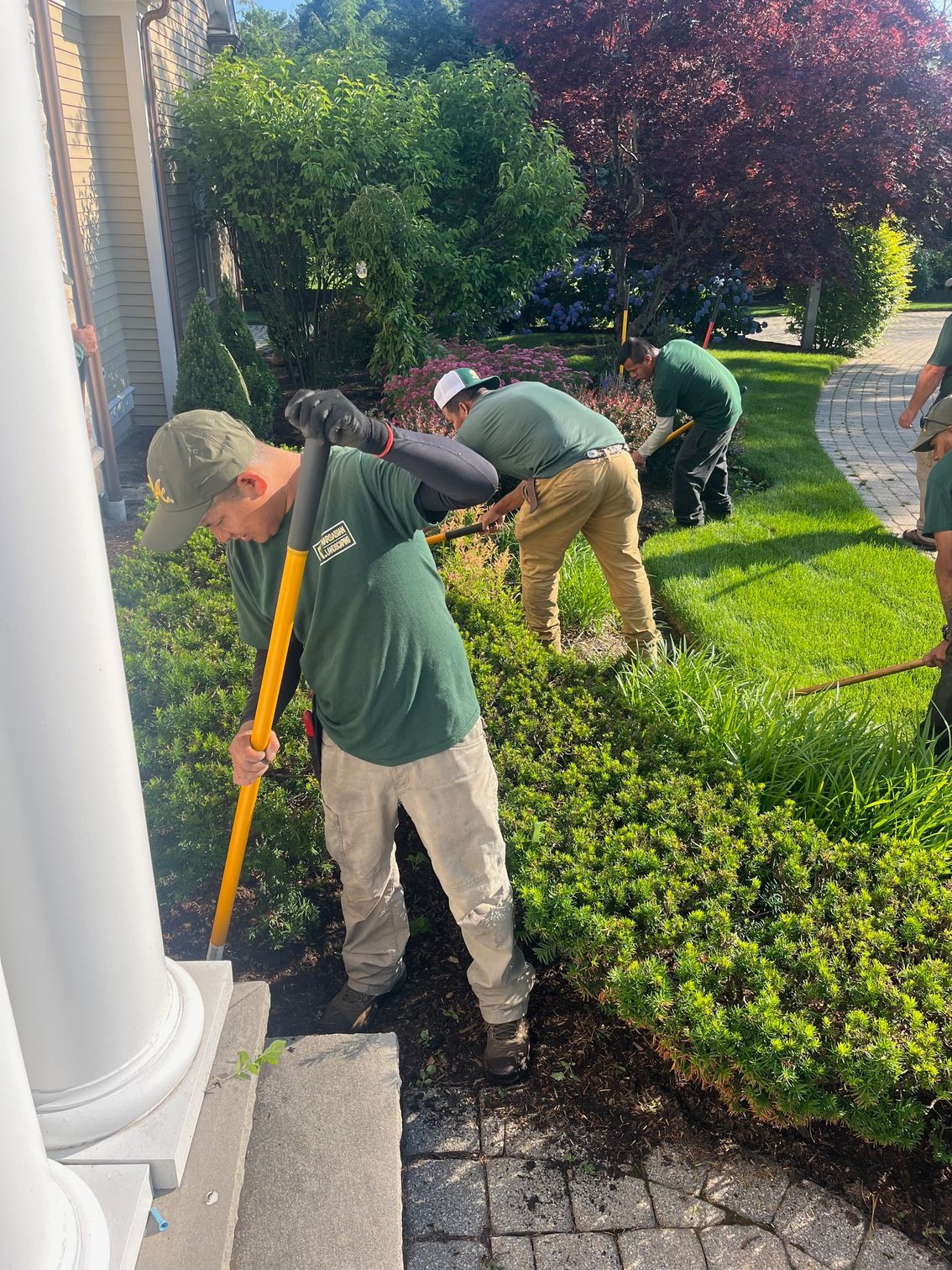 Landscapers in matching green shirts work in a sunny residential yard, trimming shrubs and tending to garden beds.