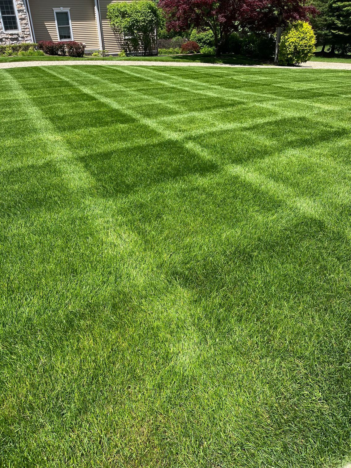 A lush green lawn with distinct cross-hatched lawn mower stripes, seen near a house with landscaping and trees.