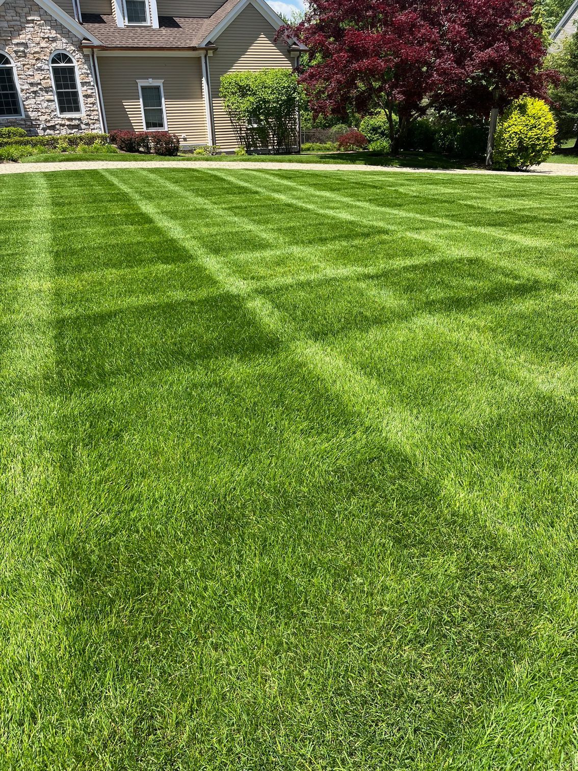 A sunny residential lawn with precise, checkerboard-patterned mowing lines in front of a house and trees.