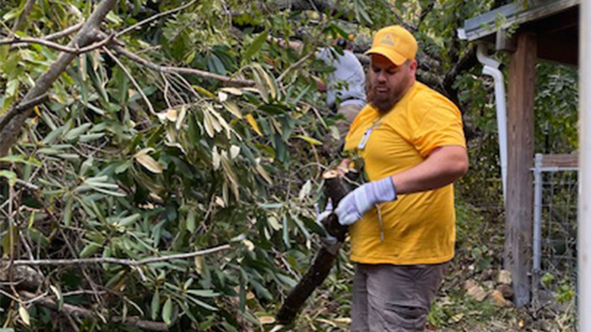 A man in a yellow shirt is cutting a tree with a saw.