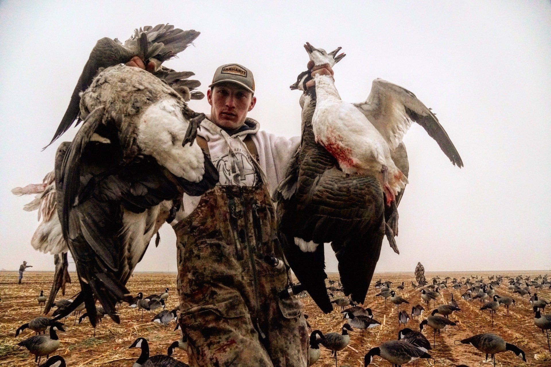 Texas Crane Hunting Pics - Goose Hunt Pictures