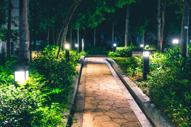 A stone path through a lush park at night, illuminated by soft, glowing garden lights lining the walkway.