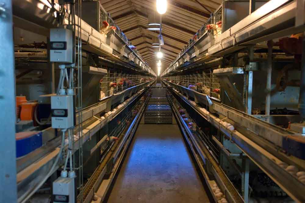 A very long hallway in a building with lots of shelves