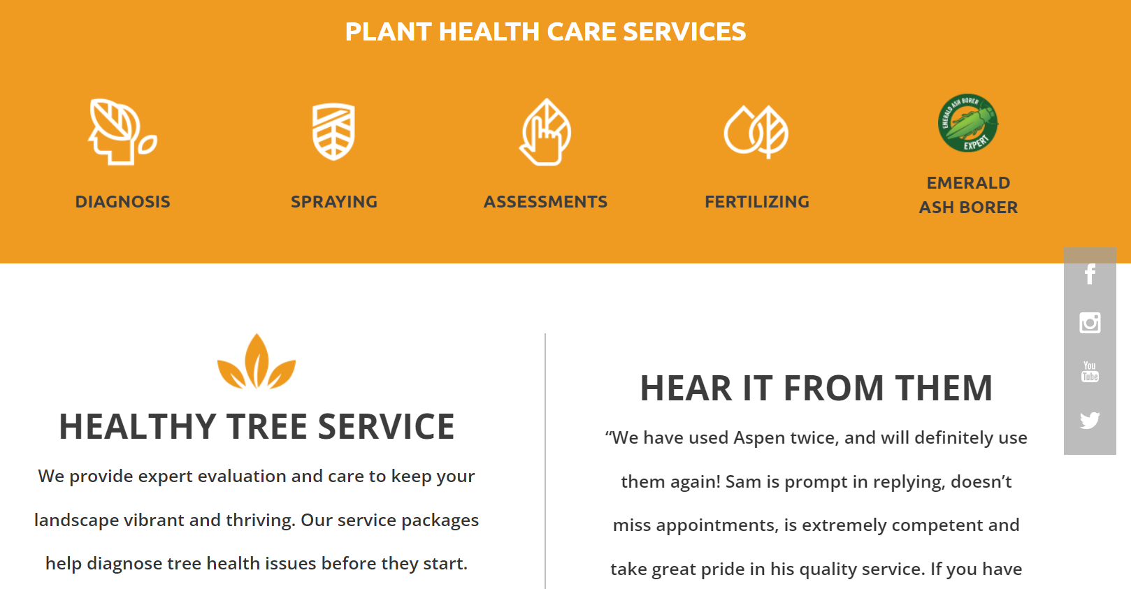 Top 7 Tree Service Website Design Examples + Key Elements of Successful ...