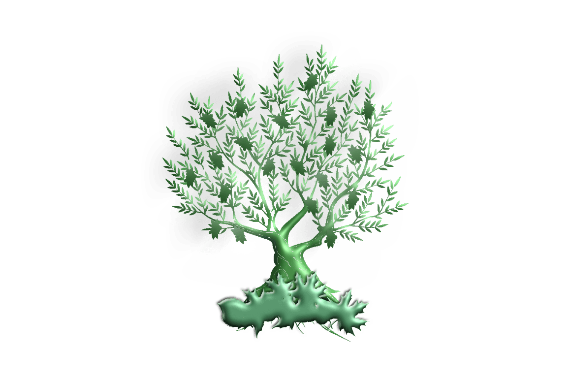 yhwhsolivebranch.co.uk