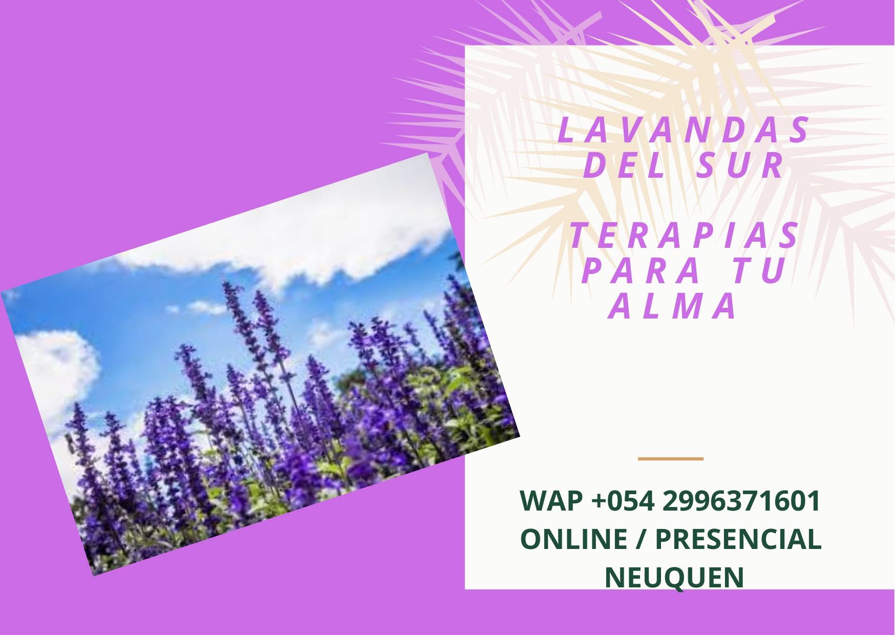 Lavanda violeta con texto 
