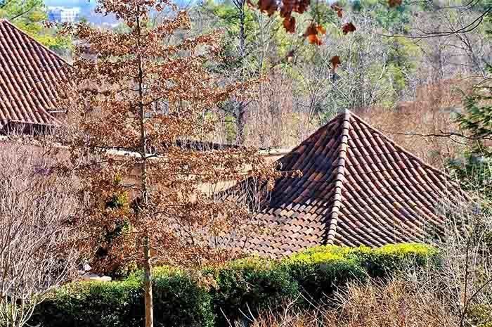 Top View of the House — Chapel Hill, NC — Walker Brown Company LLC