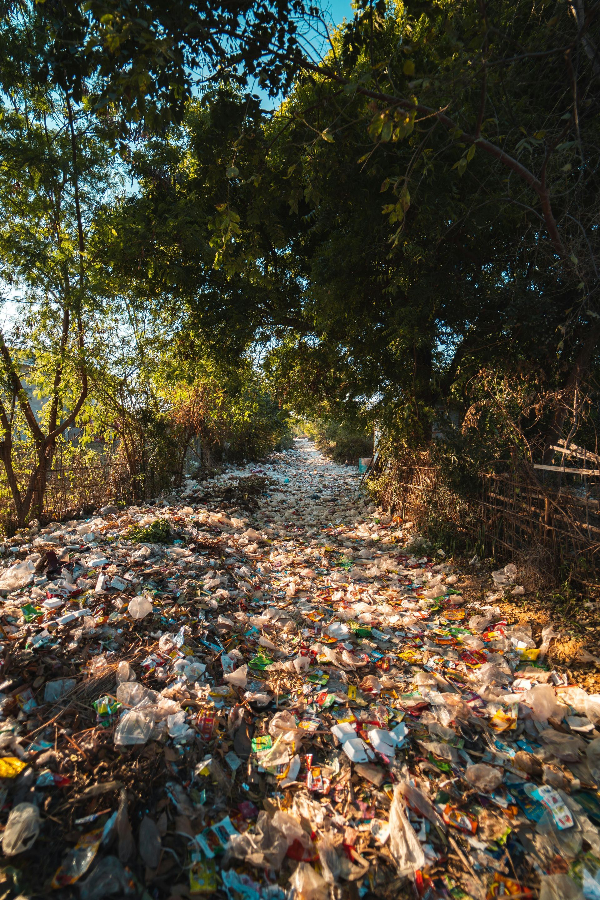 A pile of garbage in the middle of a forest.