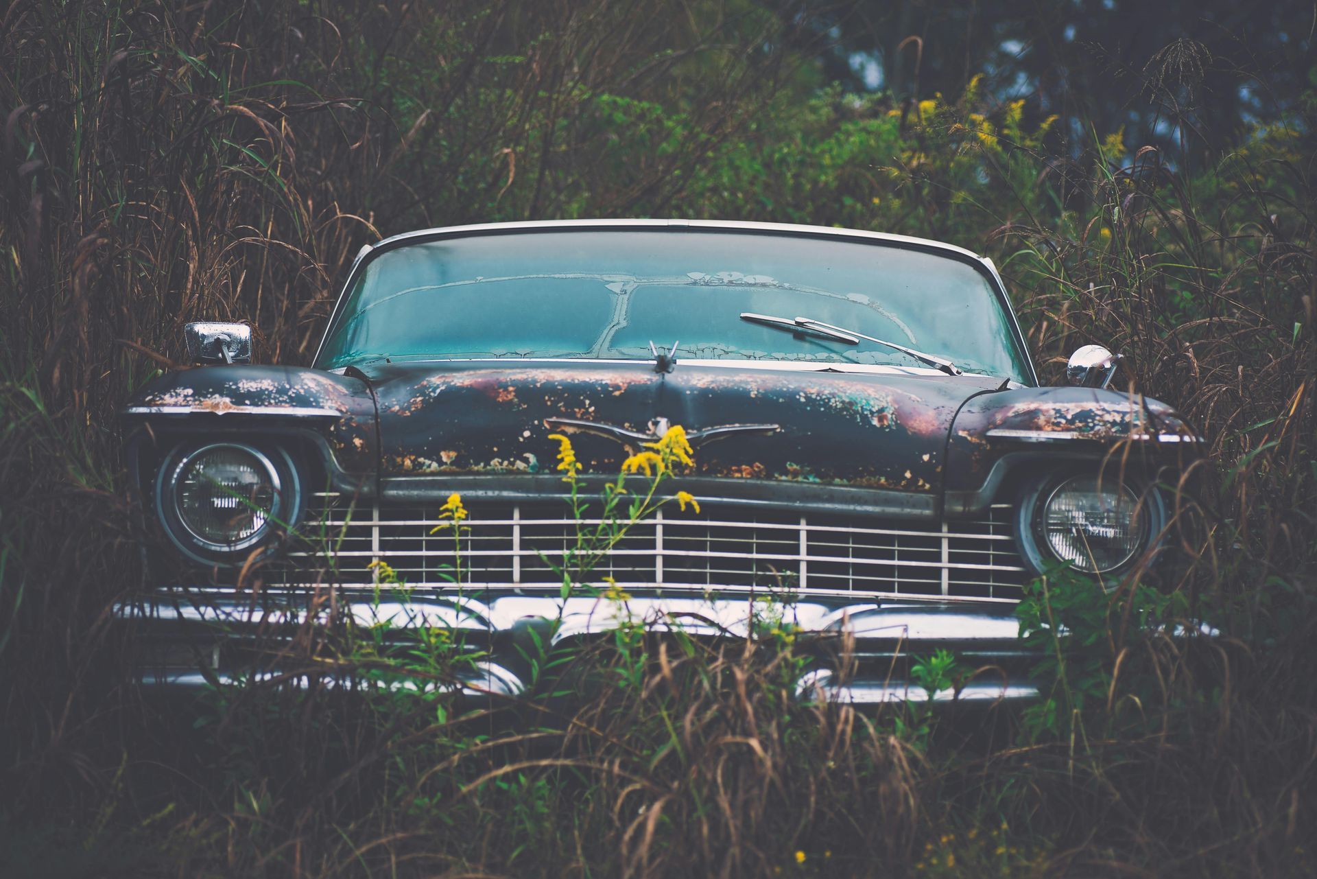 A black car is parked in a field of tall grass.