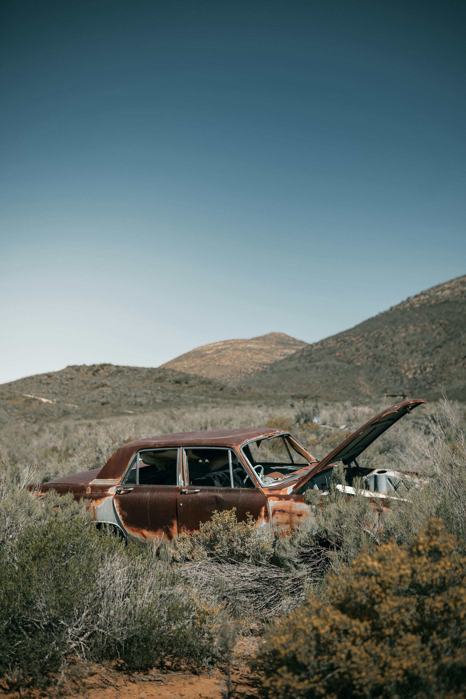An old rusty car is sitting in the middle of a field with its trunk open.