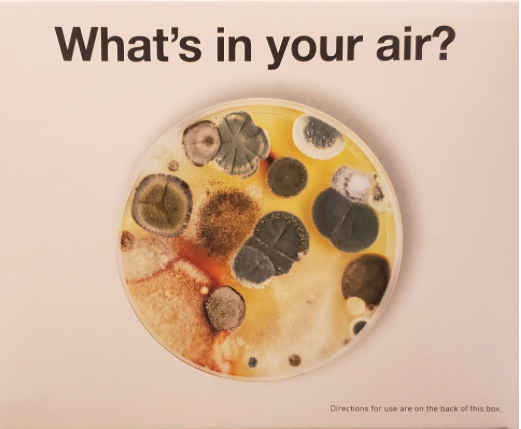 Mold growth in air without purification system