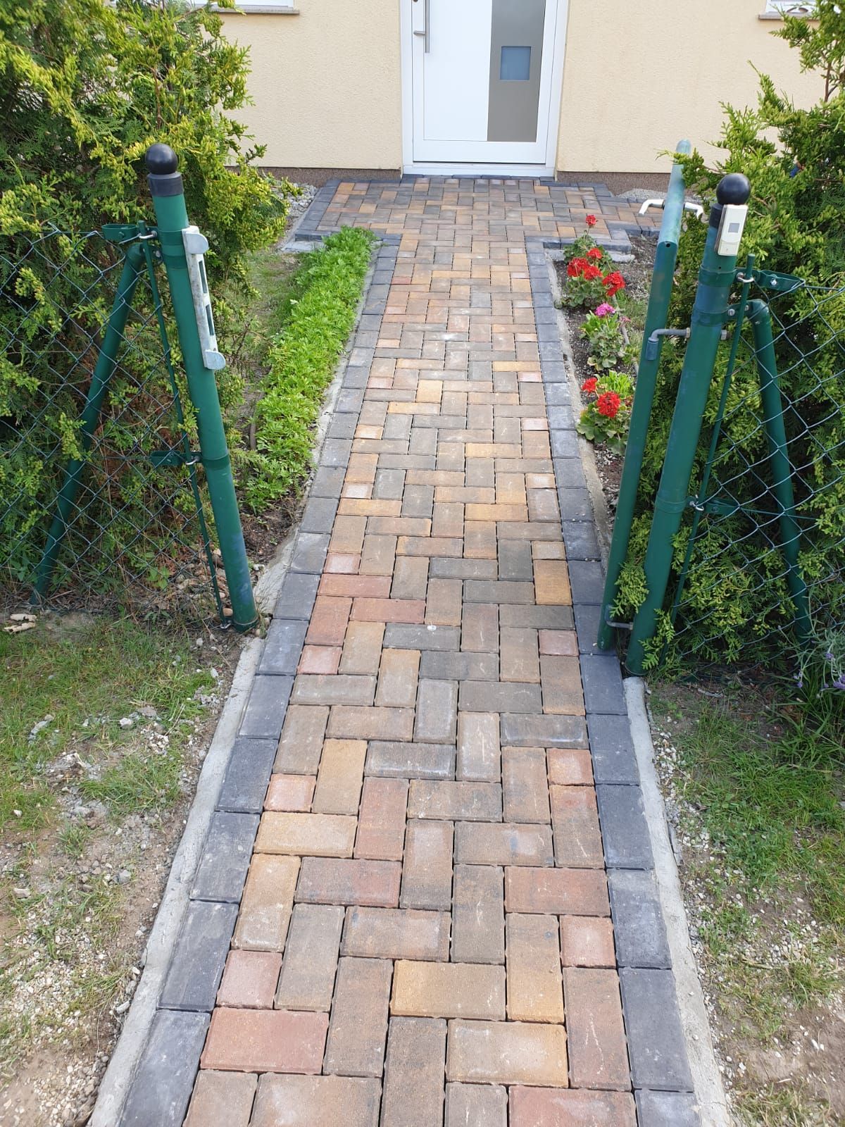 Brick pathway leading to a white door, flanked by green hedges and a green fence on a sunny day.