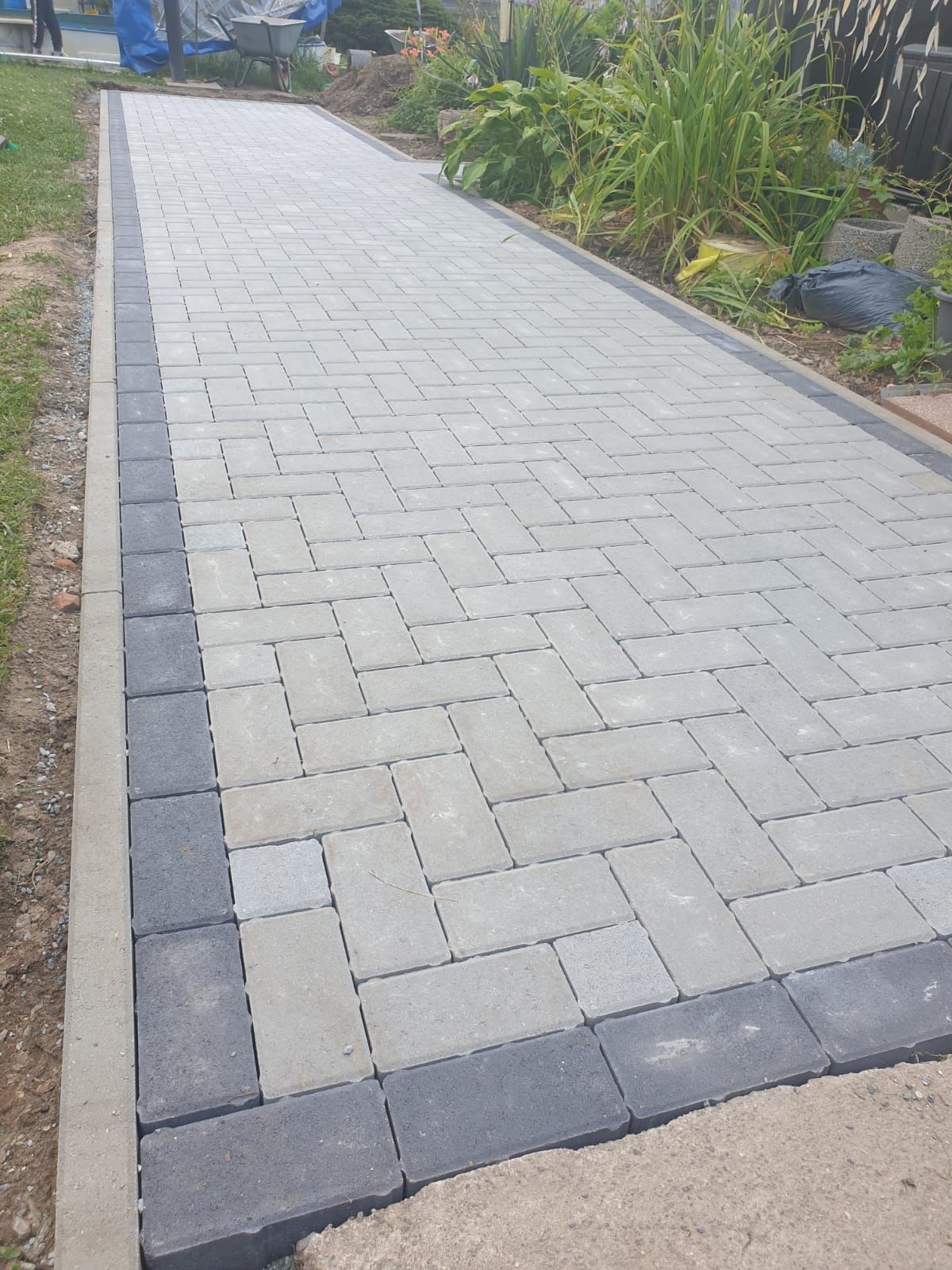 Grey brick walkway with dark border in a garden setting.