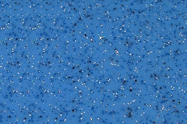 Blue background with scattered white specks and a small white bird near the center.