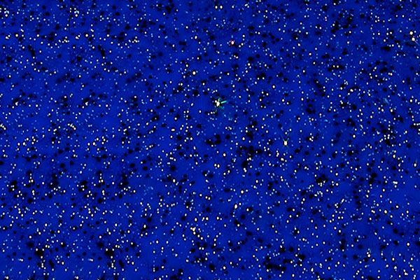 Blue field with scattered white and black specks, like stars or confetti.
