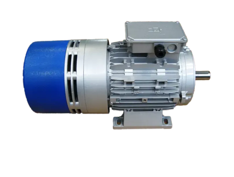 Motore elettrico con tappo terminale blu, corpo argentato e scatola morsettiera, su sfondo bianco.