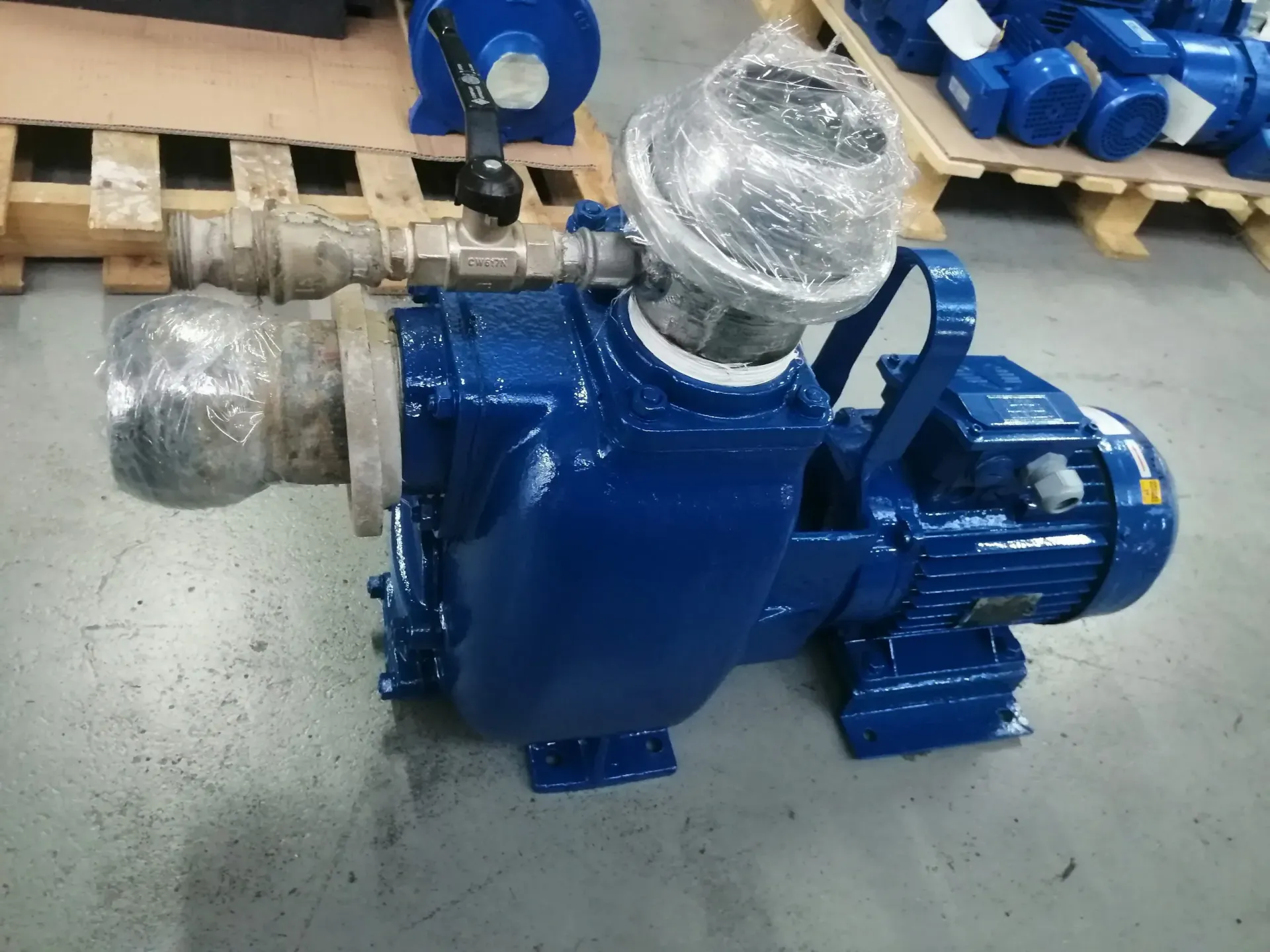 Pompa dell'acqua blu con raccordi argentati, maniglia e valvola nera. Altre pompe su pallet sullo sfondo.