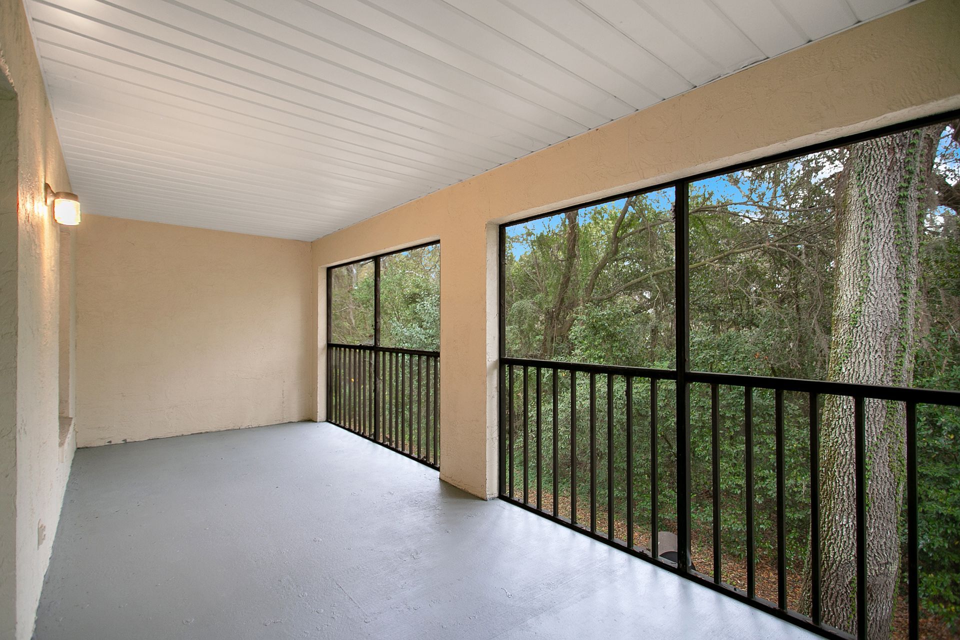 An empty screened in porch with trees in the background.