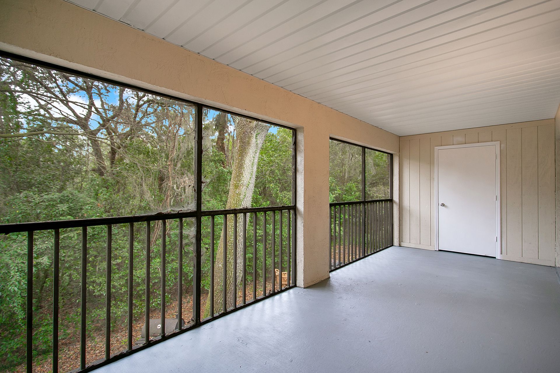An empty screened in porch with a railing and trees in the background.