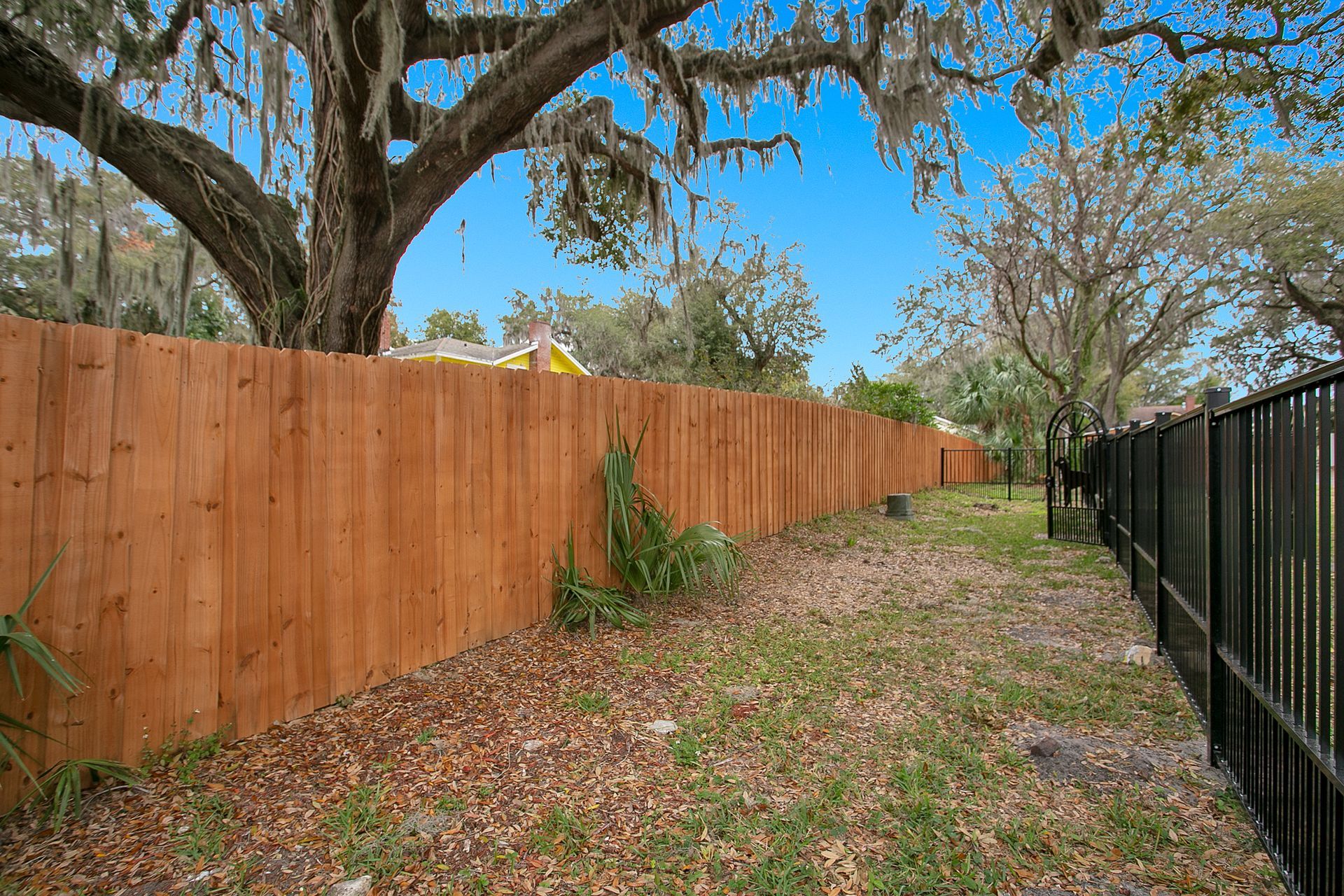 A wooden fence surrounds a yard with a tree in the background.