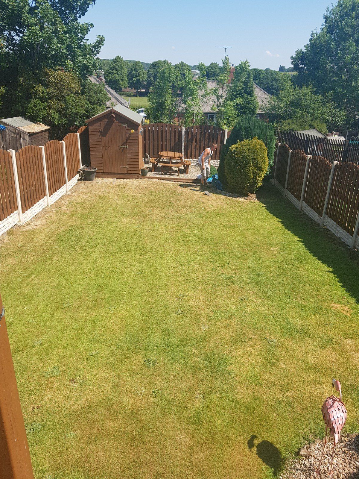 The natural lawn before work started in a garden in Ecclesfield Sheffield