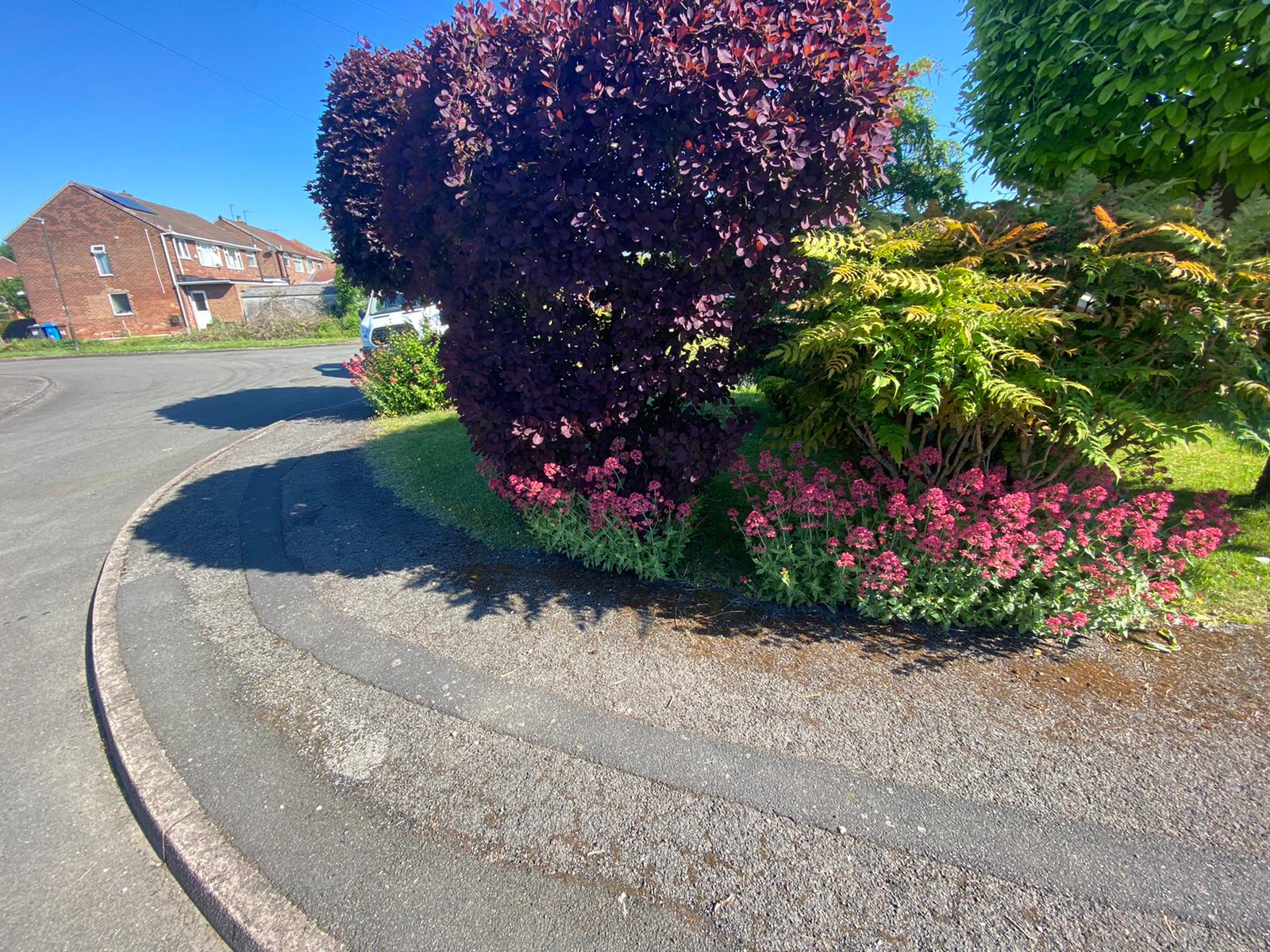 Zest Artificial Grass Nottingham Artificial Grass Installers Astro