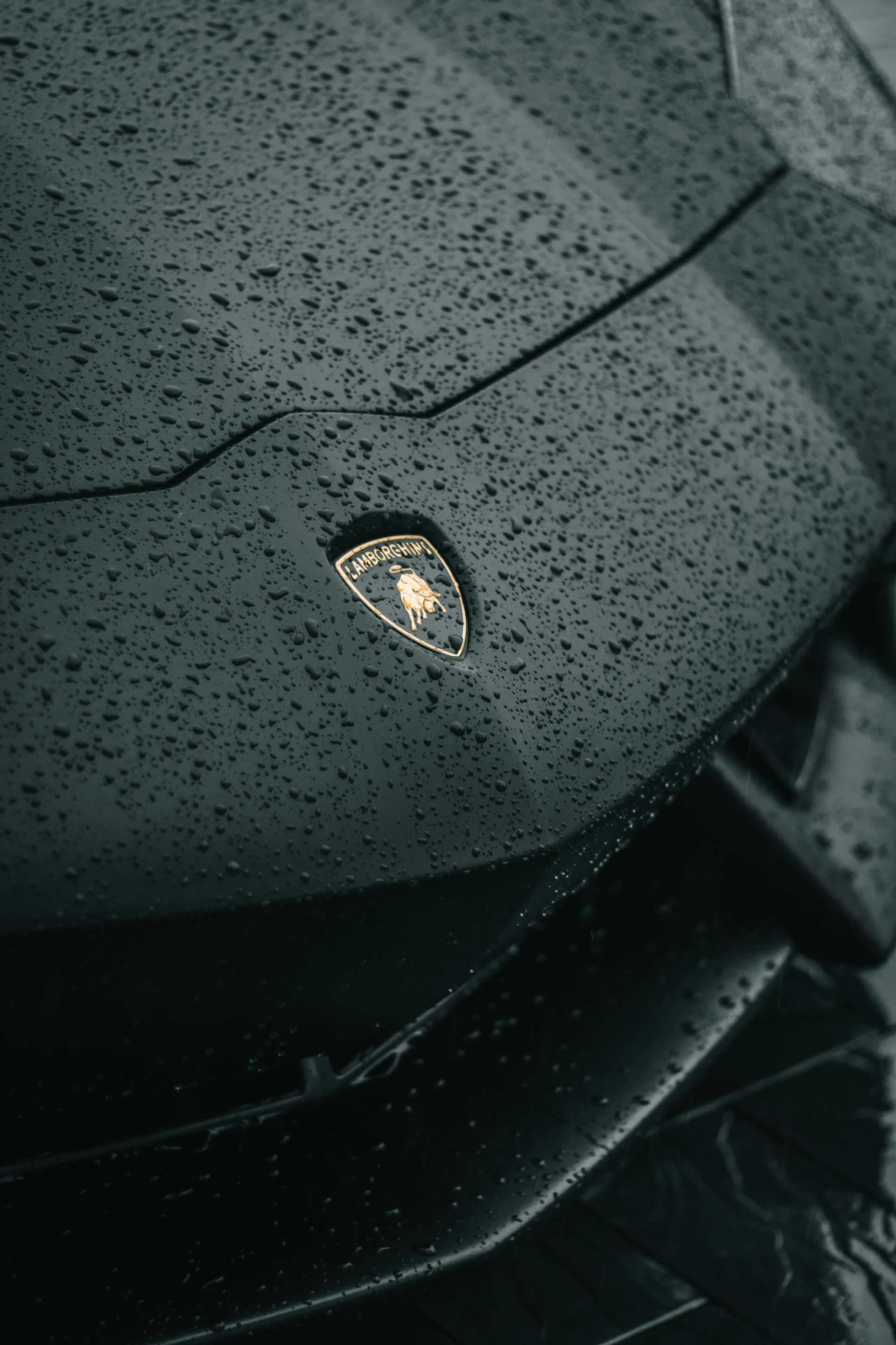 The front of a black lamborghini aventador is covered in rain drops.