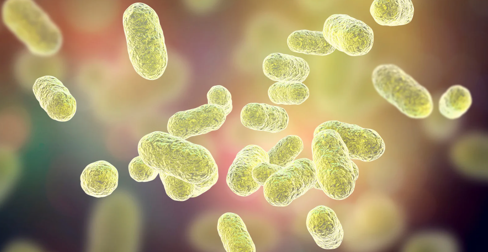 What Is the Oral Microbiome?
