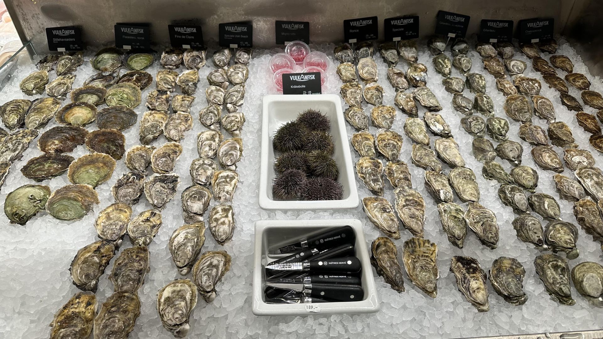 Oysters and other seafood displayed on ice in a market setting.