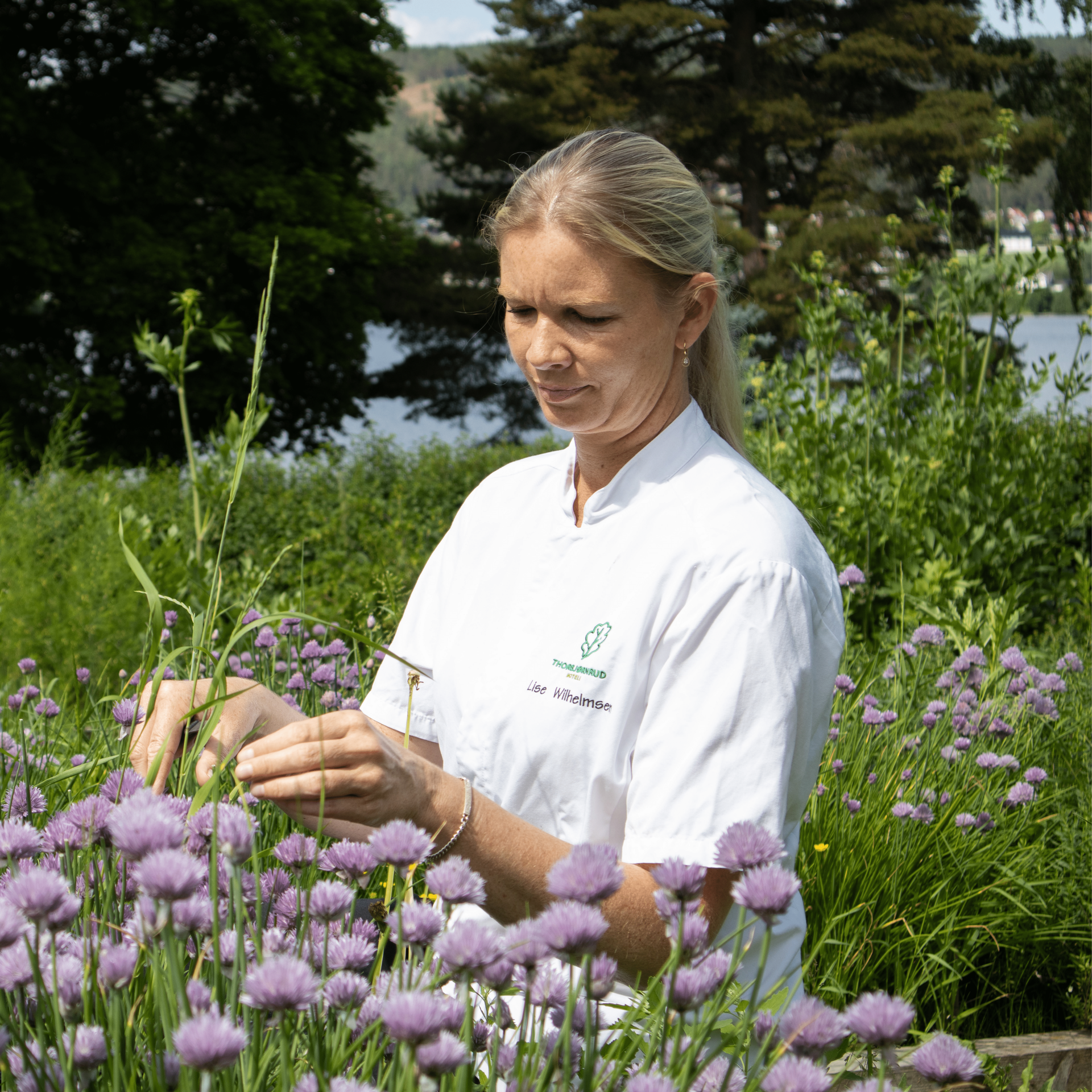 Woman in white coat examining herbs in a field of purple flowers, with water and trees in the background.